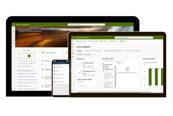 Enterprise Resource Planning (ERP)