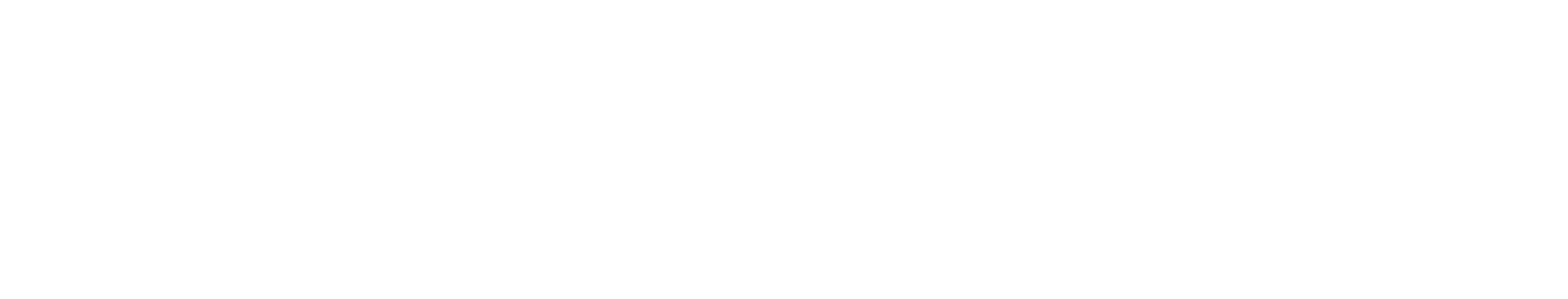 Technosoft Consulting